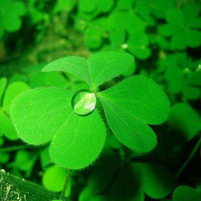 任你博下载手机版